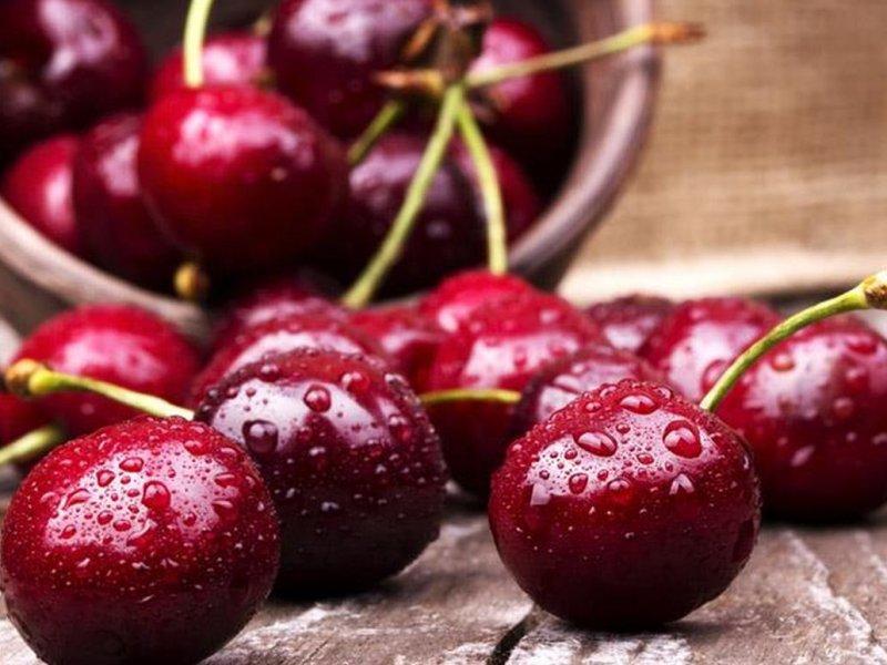 Вишня купить саженцы из питомника в Пензе