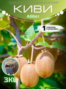 Киви Аббот